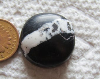 Natural White Buffalo Ribbon Boulder Turquoise Cab 33 carat American Nevada Cabochon