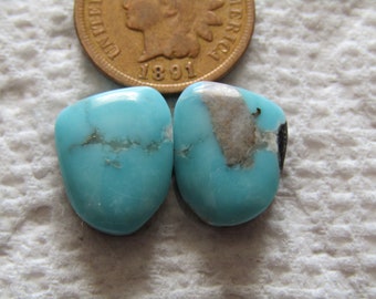 2 Campitos Turquoise Cabs 12 carats Cabochons Baby Blue Hand Cut Matching Set