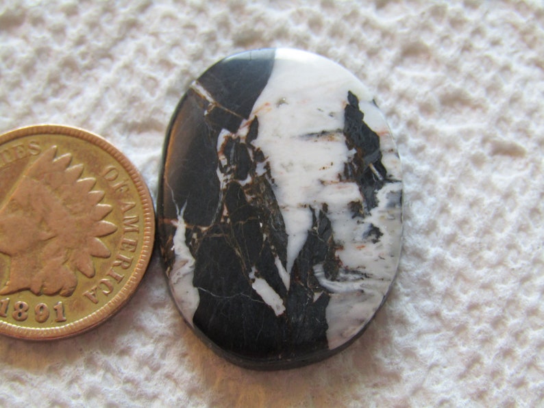 Natural White Buffalo Ribbon Boulder Turquoise Cab 20 carat American Nevada Cabochon
