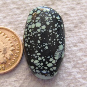 NATURAL New Landers Cab 29 carat Turquoise Chalcosiderite Variscite American Nevada Cabochon