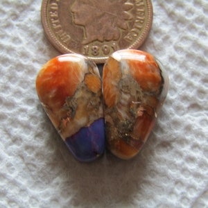 2 Spiny Oyster Shell Purple Mohave Turquoise Cabs 19 carats American Red Pink White Gold Bronze Cabochon