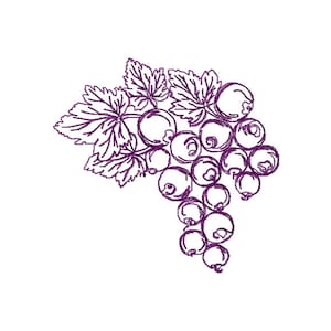 May include: A line drawing of a bunch of white currants with green leaves.