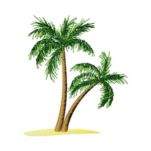 May include: Two green palm trees with brown trunks stand on a small patch of yellow sand.
