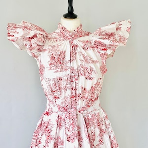 Toile de Jouy dress