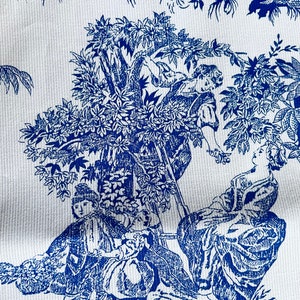 Toile de Jouy skirt image 9