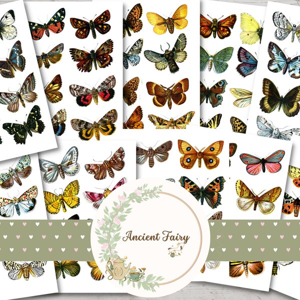 Pack B - Pretty Collection of Fussy Cut Vintage Butterflies for Junk Journal, Instant Digital Download Vintage Ephemera Collage Sheet