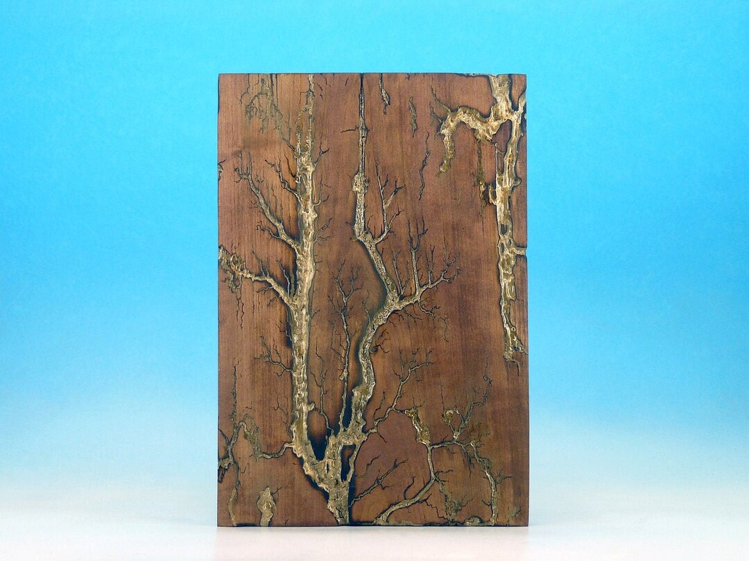 Lichtenberg Figures Cherry Wood Wall Art: Fractal Burning Decor - Etsy