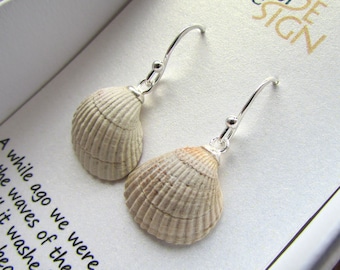 Real seashell deals earrings