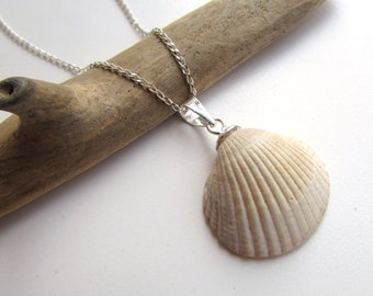 Silver Seashell Necklace, Sterling Silver Seashell Pendant, Mermaid Pendant, Made of Natural Seashell and 925 Sterling Silver Chain