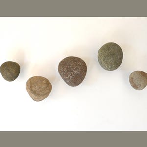May include: Five smooth, rounded stones of varying sizes and earth tones are arranged on a plain white surface. The collection includes shades of grey, brown, and tan, each with a unique, weathered texture and natural, irregular shapes.