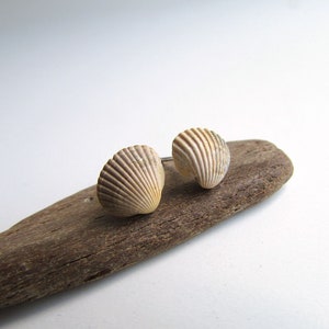 White - Handcrafted Seashell Stud Earrings 50