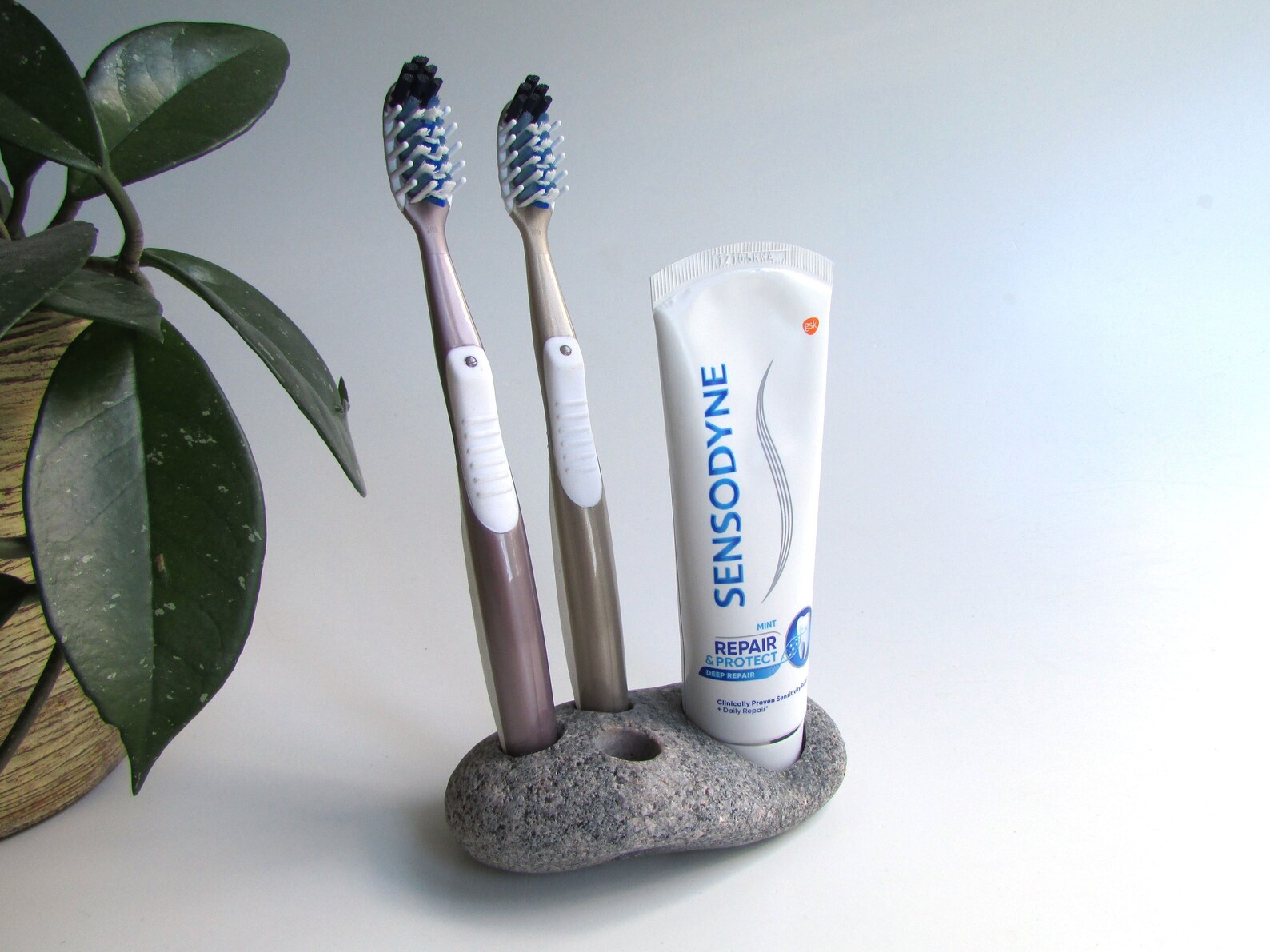 Toothpaste Stone Stone Toothbrush & Toothpaste Holder Stone Toothbrush Stand - Etsy
