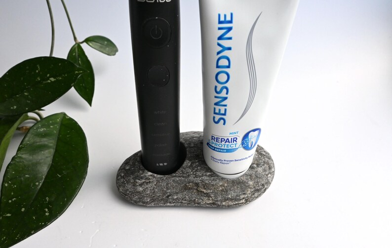 Toothpaste Stone Stone Electric Toothbrush and Toothpaste Holder, Coastal Bathroom Decor ...