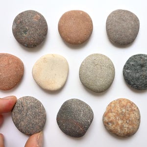 10 Pebble Magnets, Stone Note Magnets, Creative Memo Magnets, Natural Beach Pebble Art Fridge Note Magnet Set, Coastal Memo Board Organising