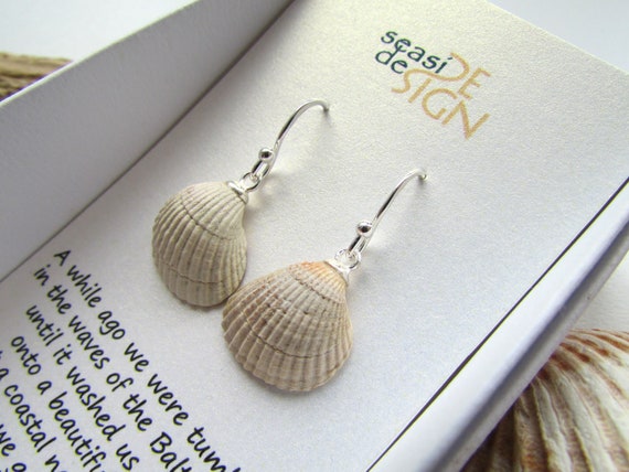 White seashell deals earrings
