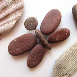 Stone Dragonfly Magnet, Pebble Art, Sea Stone Shape, Fridge Magnet, Nature Learning, Natural Stone, Pebble Shapes, Beach Stone Art