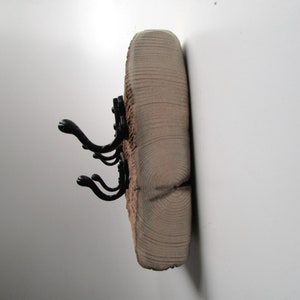 May include: A wooden wall-mounted coat rack with three black metal hooks. The wood has a natural, rustic finish and shows the grain of the wood.