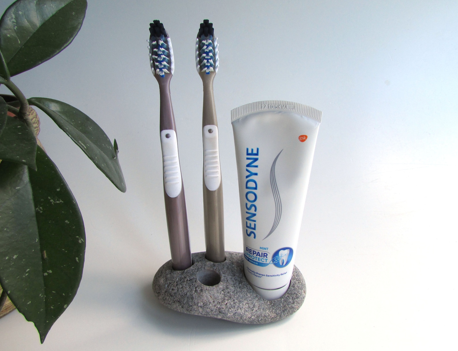 Toothpaste Stone Stone Toothbrush & Toothpaste Holder Stone Toothbrush Stand - Etsy