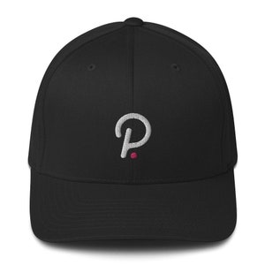 Polkadot cryptocurrency hat