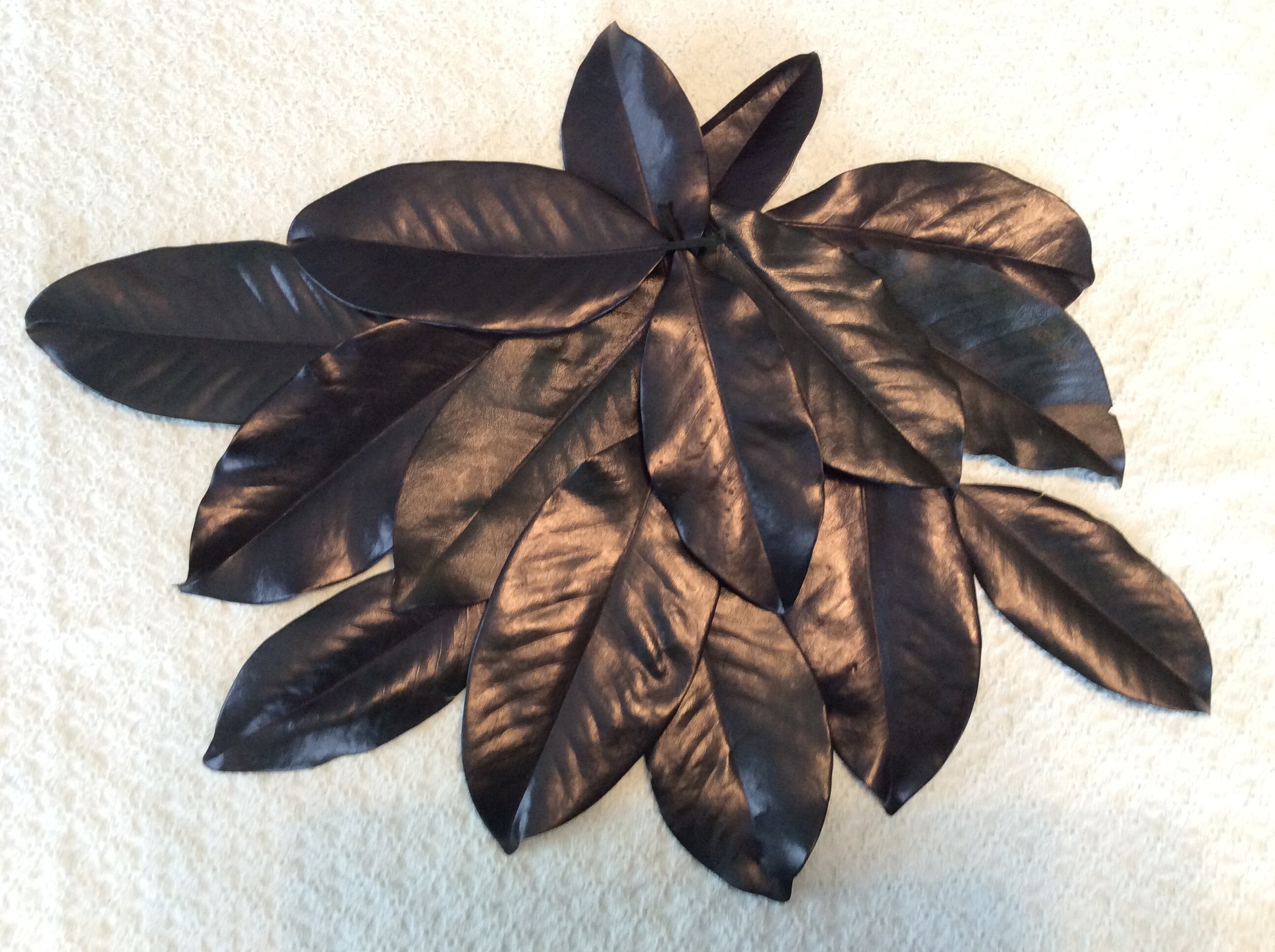 Grade A Dried Magnolia Leaves Assorted Sizes Knud Neilson Etsy