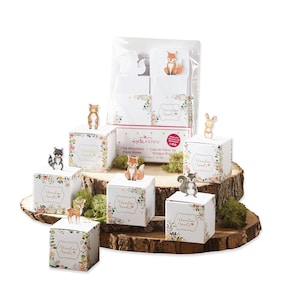 Floral Woodland Babypartybevorzugungsboxen (24ct) - Waldtier-Mädchen-Gastgeschenke