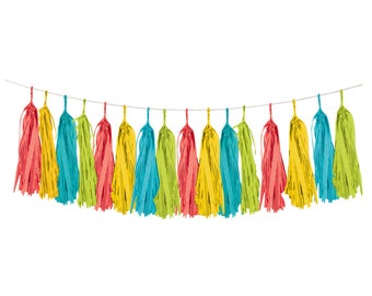 SALE | Fiesta Tassel Garland 8ft | Cinco de Mayo Birthday | Fiesta Decorations | Fiesta Hanging Banner | Baby Shower | Fiesta Bridal Shower