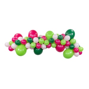 Pink & Green DIY Balloon Garland Kit 6ft | Watermelon Baby Shower Backdrop | One in a Melon First Birthday Balloon Arch | Tutti Frutti