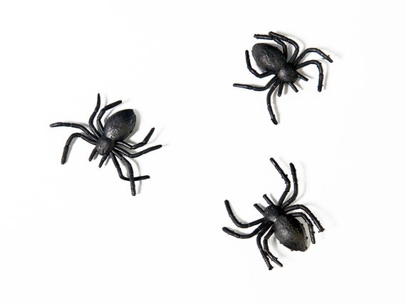 Black Plastic Spiders 10ct | Kids Halloween Party Favors | Halloween Terrarium | DIY Craft Miniature Halloween Spiders | Spiders Il_570xn