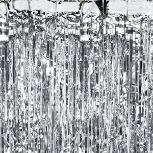Silver Fringe Curtain Backdrop | Space Party Decor | New Year&#39;s Eve Backdrop | Disco Party Decor | Bachelorette Party | Milestone Birthday