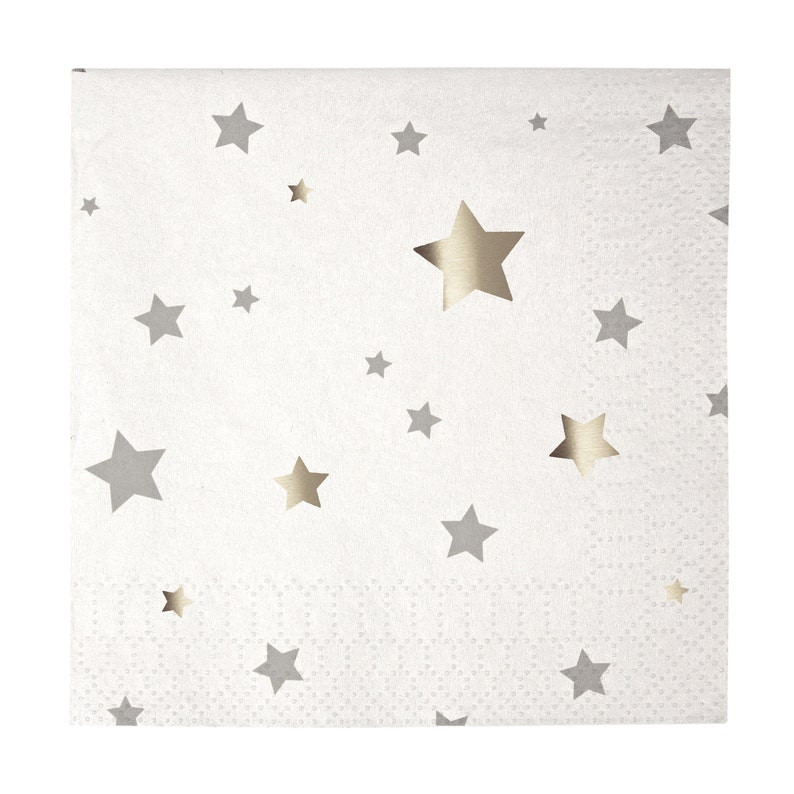The Party Darling Napkins Twinkle Twinkle Little Star Silver Star Small Napkins Party Supplies Meri Meri Toot Sweet 16 Napkins