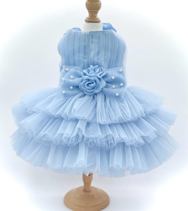 Cotton Candy Blue Party Dress for Small Dog Pomme Damour Etsy