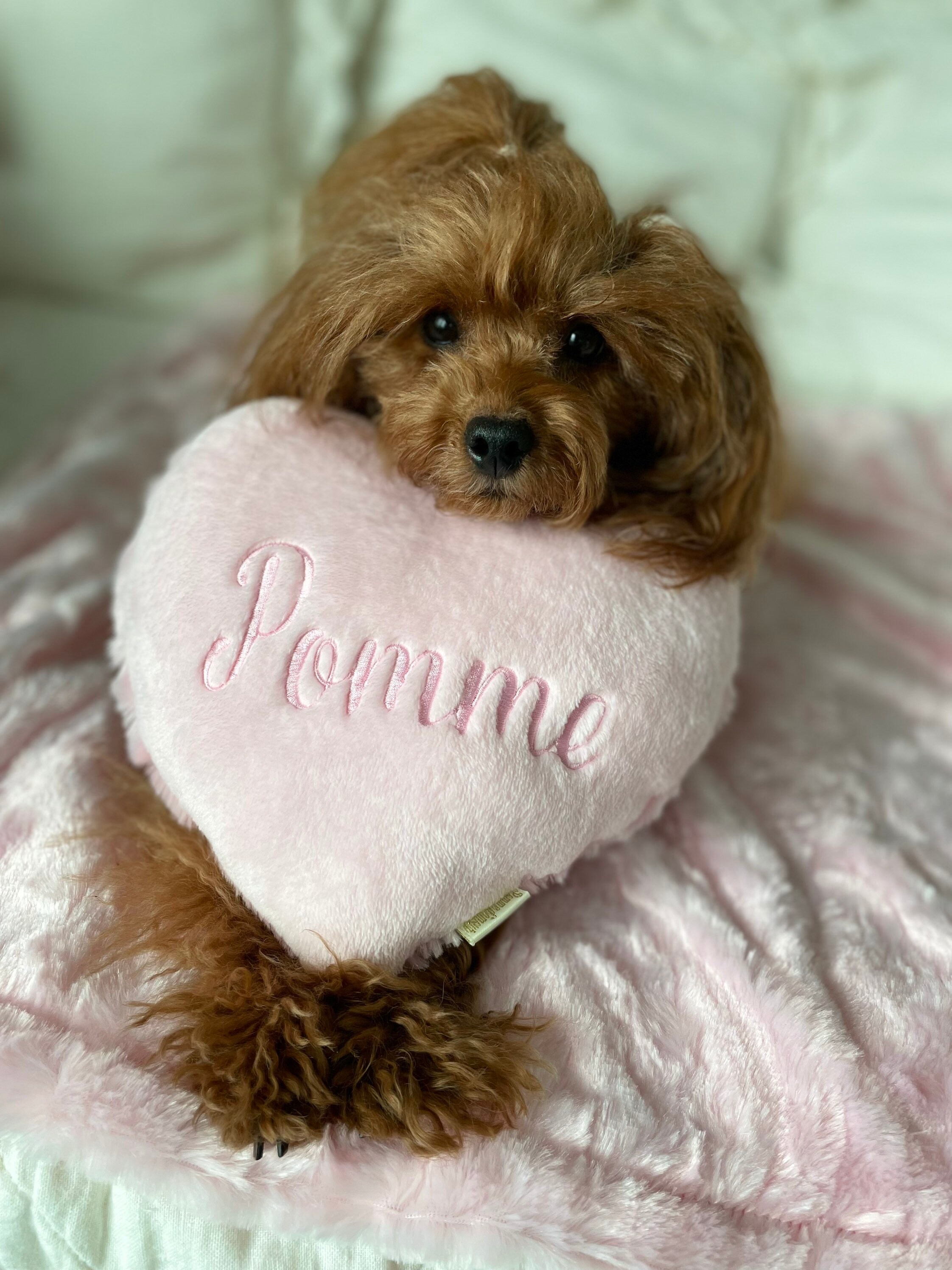 Homoyoyo 1pc Pill Pillow Pink Heart Pillow Throw Pillows for Couch Girl  Stuffed Animals Kawaii Pillow Couch Pads for Sofa Heart Pad Plush Sofa  Cushion