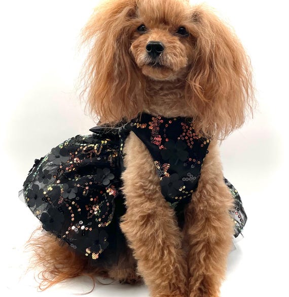 sequin dog dress Amazon.com : Fitwarm Sparkly Sequin Dog Tutu Dress, Luxury Christmas Outfit for Small Dogs Girl, Holiday Pet Clothes, Gold, XS : Pet Supplies