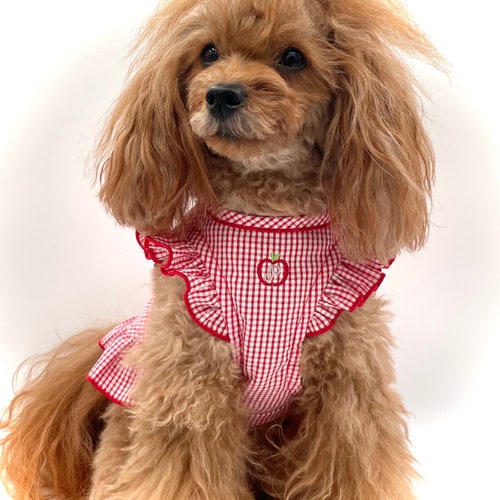 Gingham Organic Cotton Small Dog Dress - Red