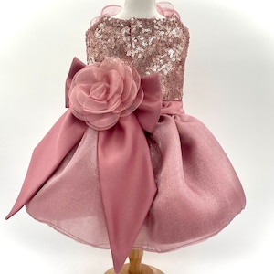 Rose Gold Dog Dress - Etsy