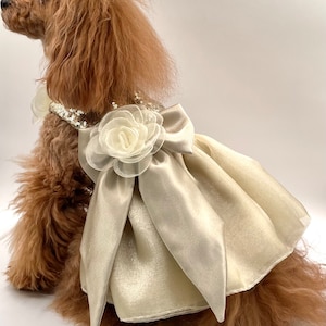 Champagne Gold Sequin Bridesmaid Party Dress for small dog - Pomme d’amour