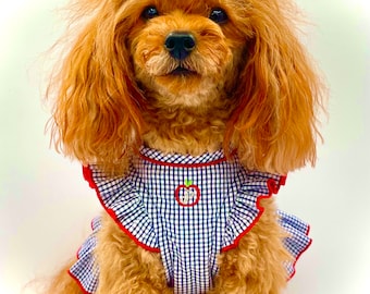 Gingham Organic Cotton Small Dog Dress - Navy