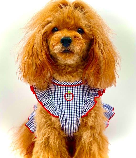 Gingham Organic Cotton Small Dog Dress - Navy