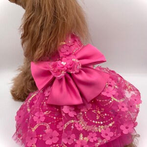 Small Dog Dress Fuchsia Pink 3D tulle lace Party dress - Pomme d’amour bild 4