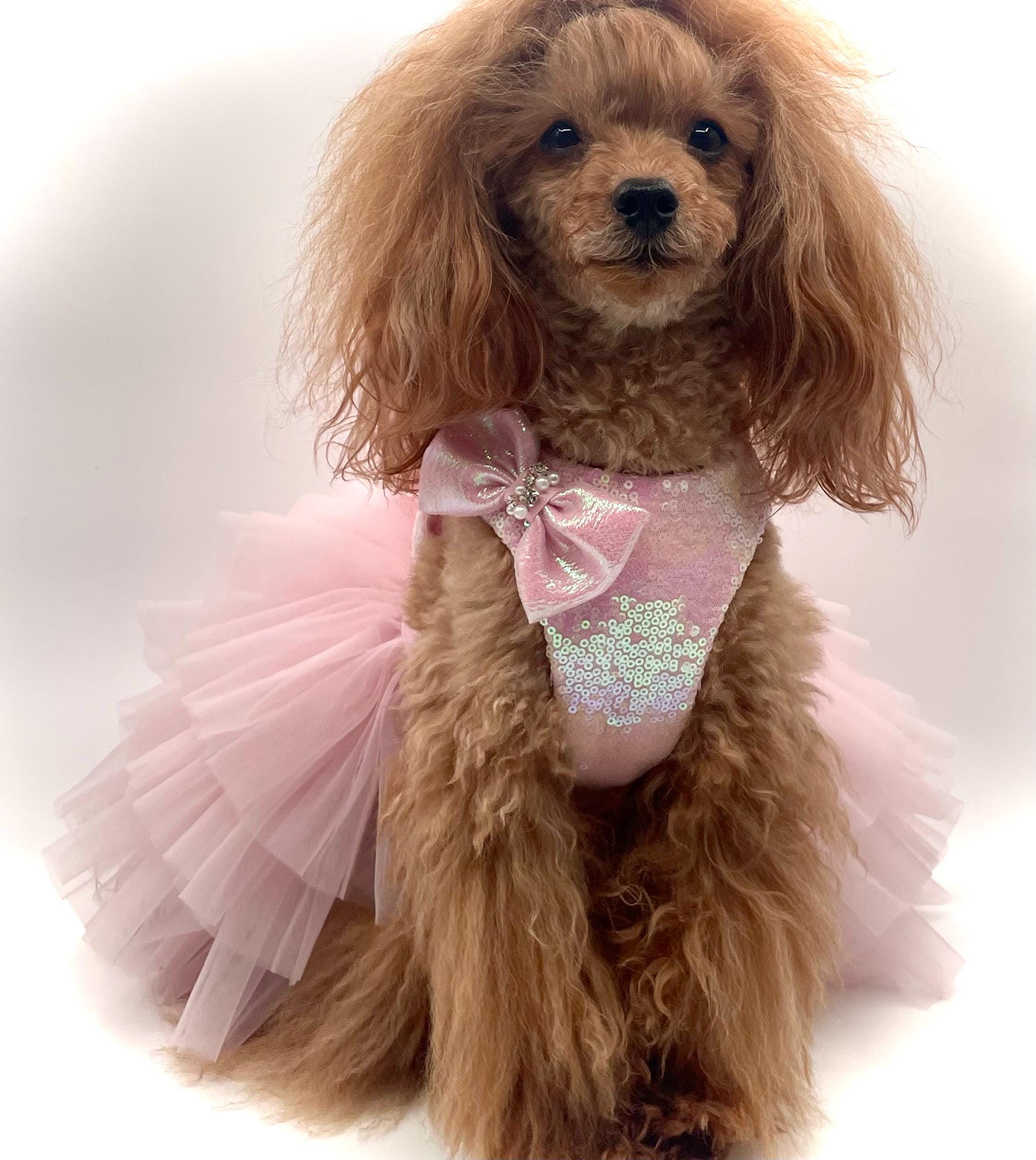 sage green dress outfit Festive Green Red Christmas Dog Dress main image 0