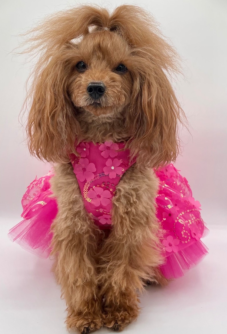 Small Dog Dress Fuchsia Pink 3D tulle lace Party dress - Pomme d’amour bild 3