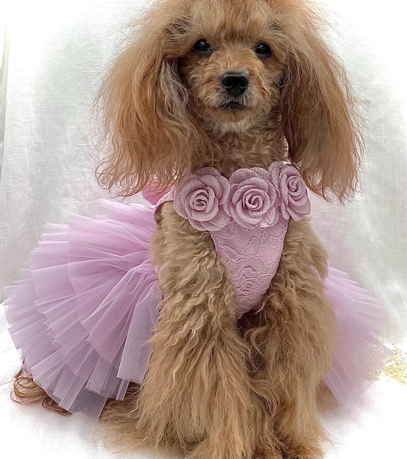 Light Mauve Pink party dress for small dog - Pomme damour Light Mauve Pink party dress for small dog - Pomme damour