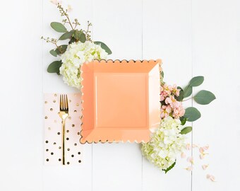 coral and teal paper plates