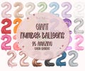 Number Balloons | Giant Number Balloon | Birthday Balloons | 1st Birthday  | Pink Number Balloon | Beige Number Balloon | Balloon Bouquet