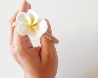 Plumeria | Tropical Flower