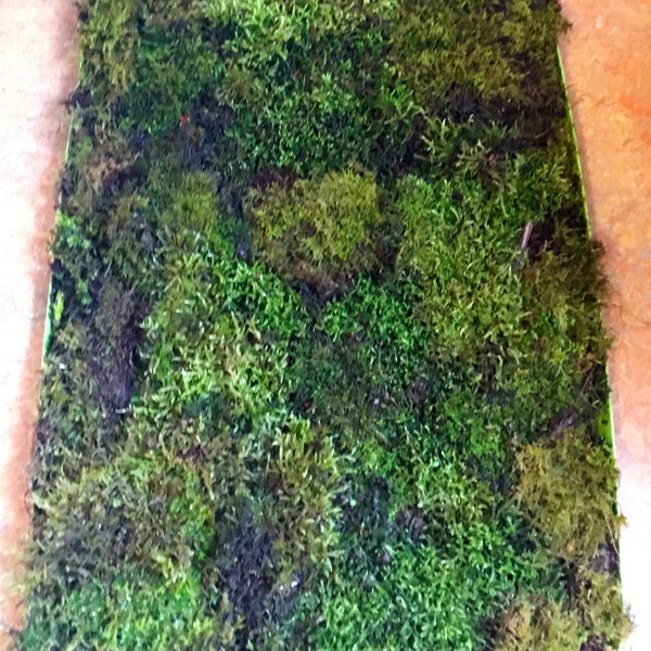 Living Moss/For Vivariums/Terrariums/Bath Mat/Etc