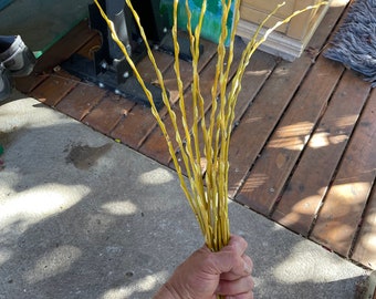 Golden Willow Bouquet X 24 Sticks