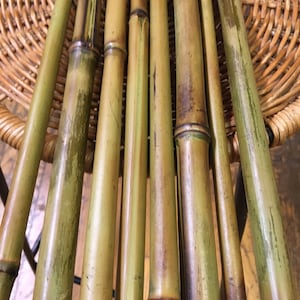 8 X Torch Cured Bamboo 2 Foot Long