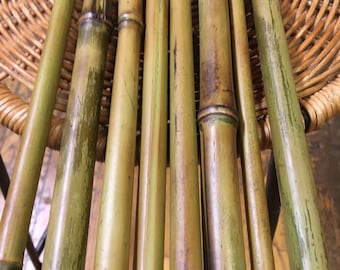 8 X Torch Cured Bamboo 2 Foot Long