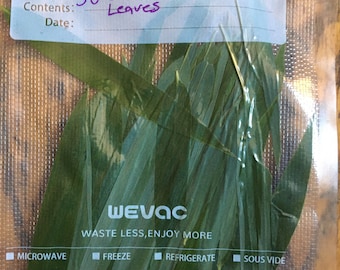 Fresh Organic Bamboo Leaves | Hand-Harvested from Our Pacific Northwest Hobby Farm | Natural Pet Treats, Tea, Crafts & More